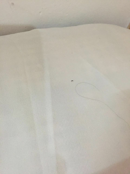 第339页